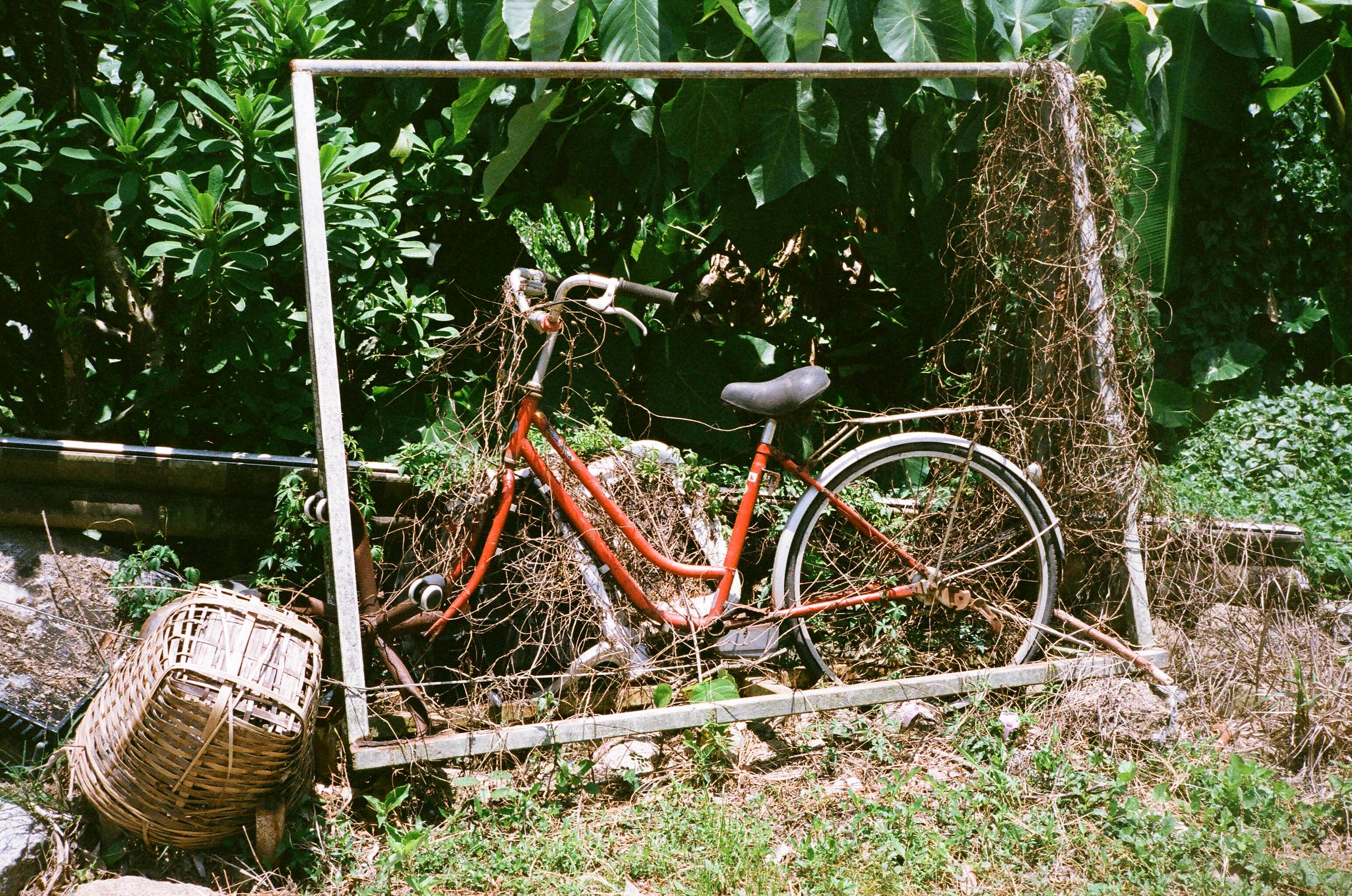 FujiFilm Superia Premium 400