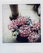 FujiFilm Instax Square